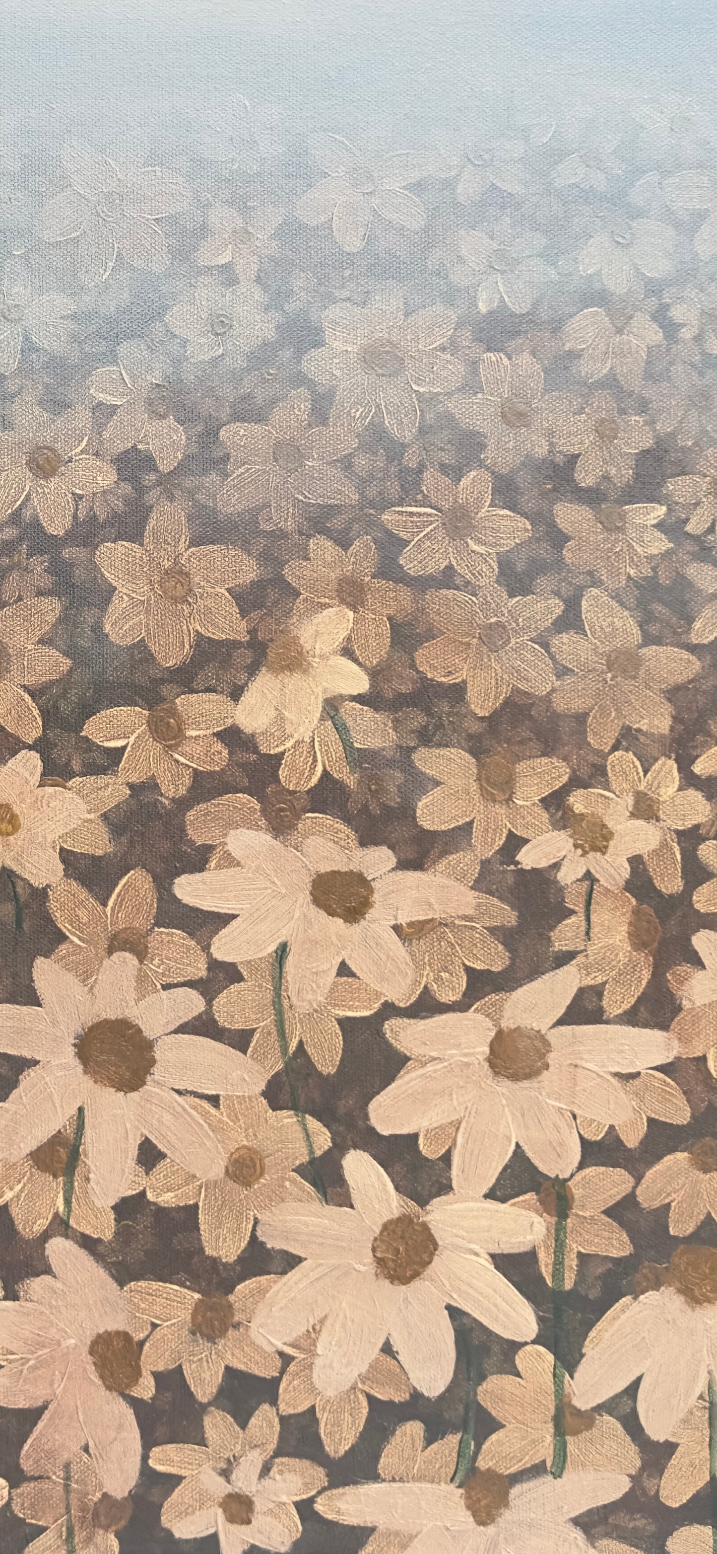 ‘Antique field of daisies’