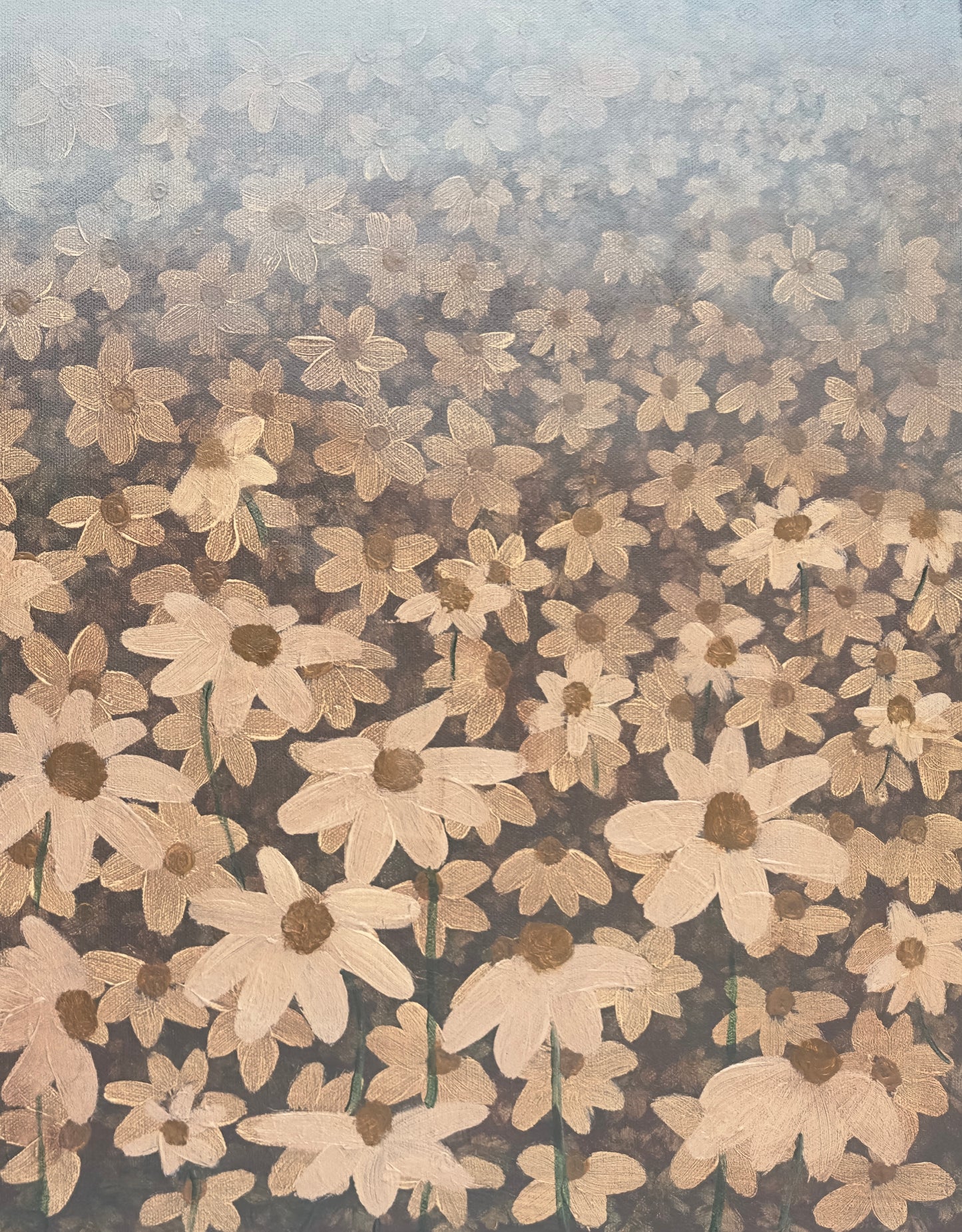‘Antique field of daisies’